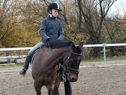 IMG_0375-134_web